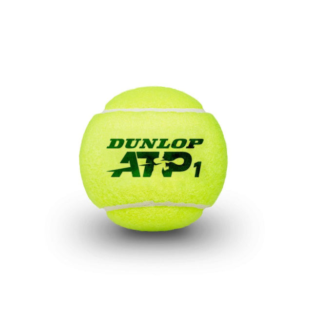 Balles Dunlop ATP (4 balles)